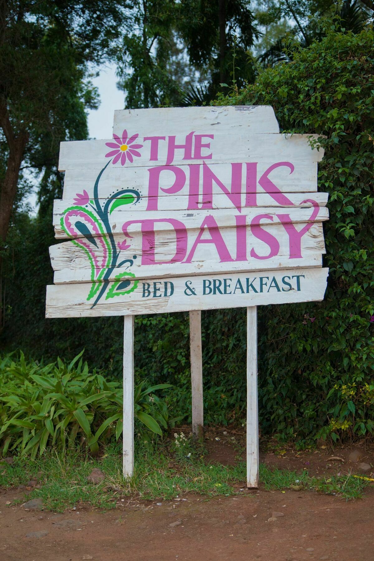 The Pink Daisy Bed And Breakfast Moshi Exterior photo